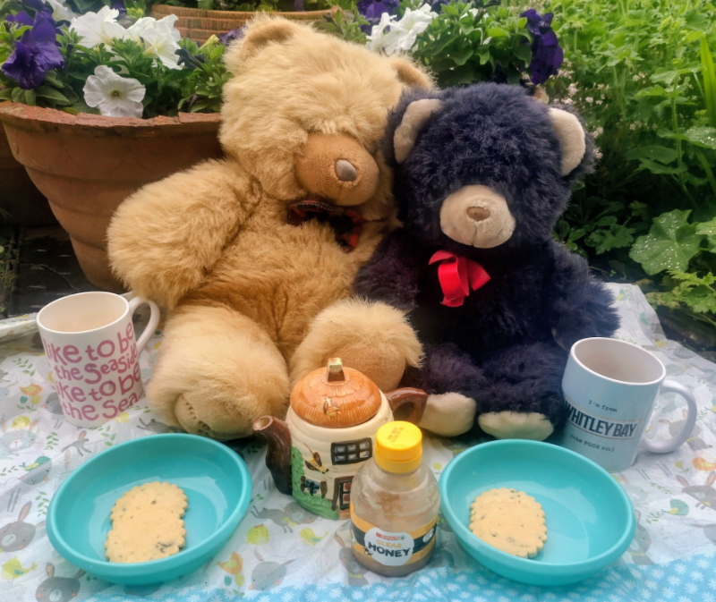 Teddy Bears' picnic